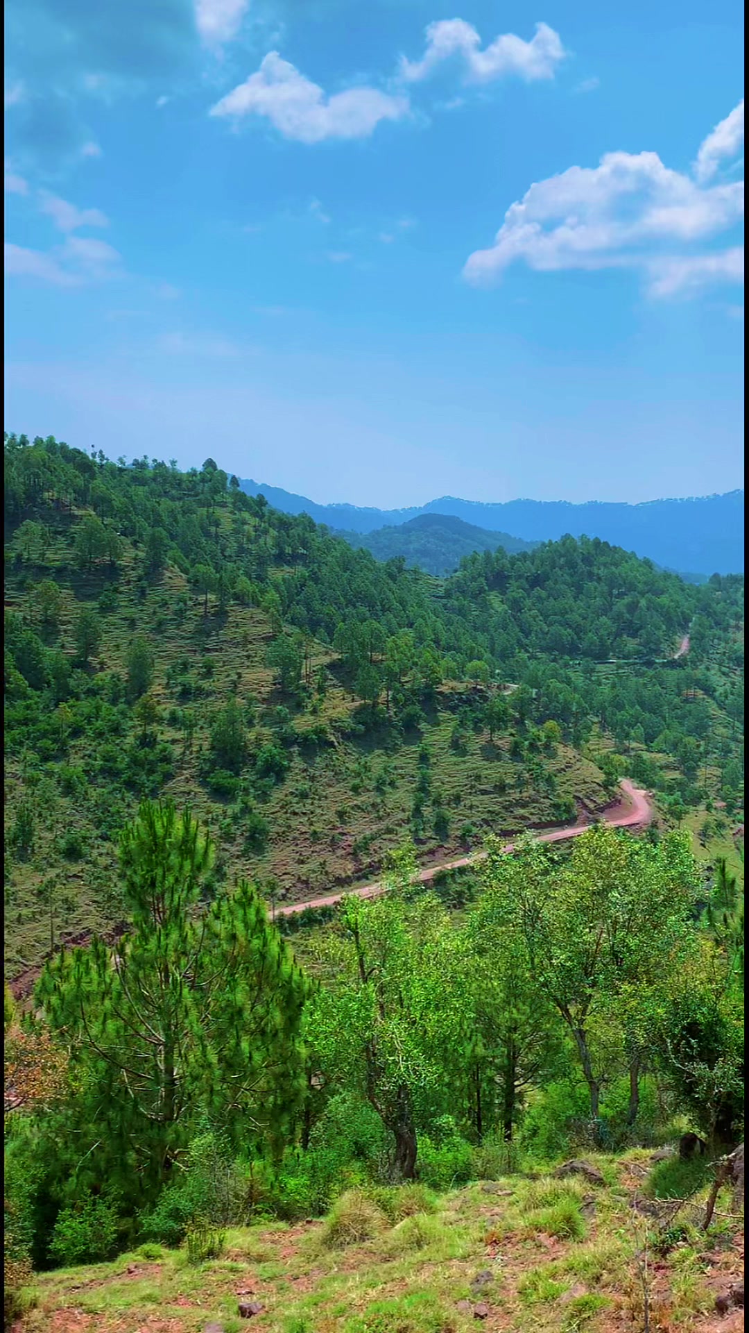 @💫MUZAMMIL 💫KASHMIRI🌟💫BK🥰
