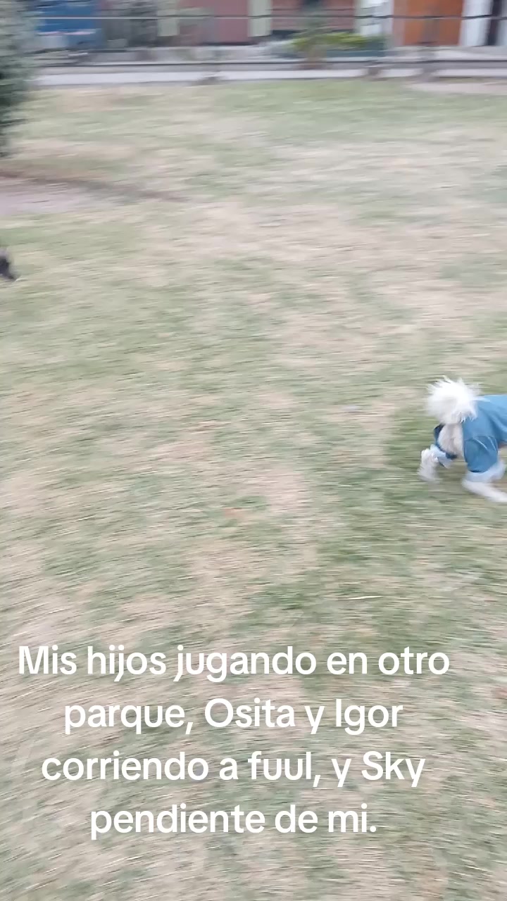 @Sky e Igor 01