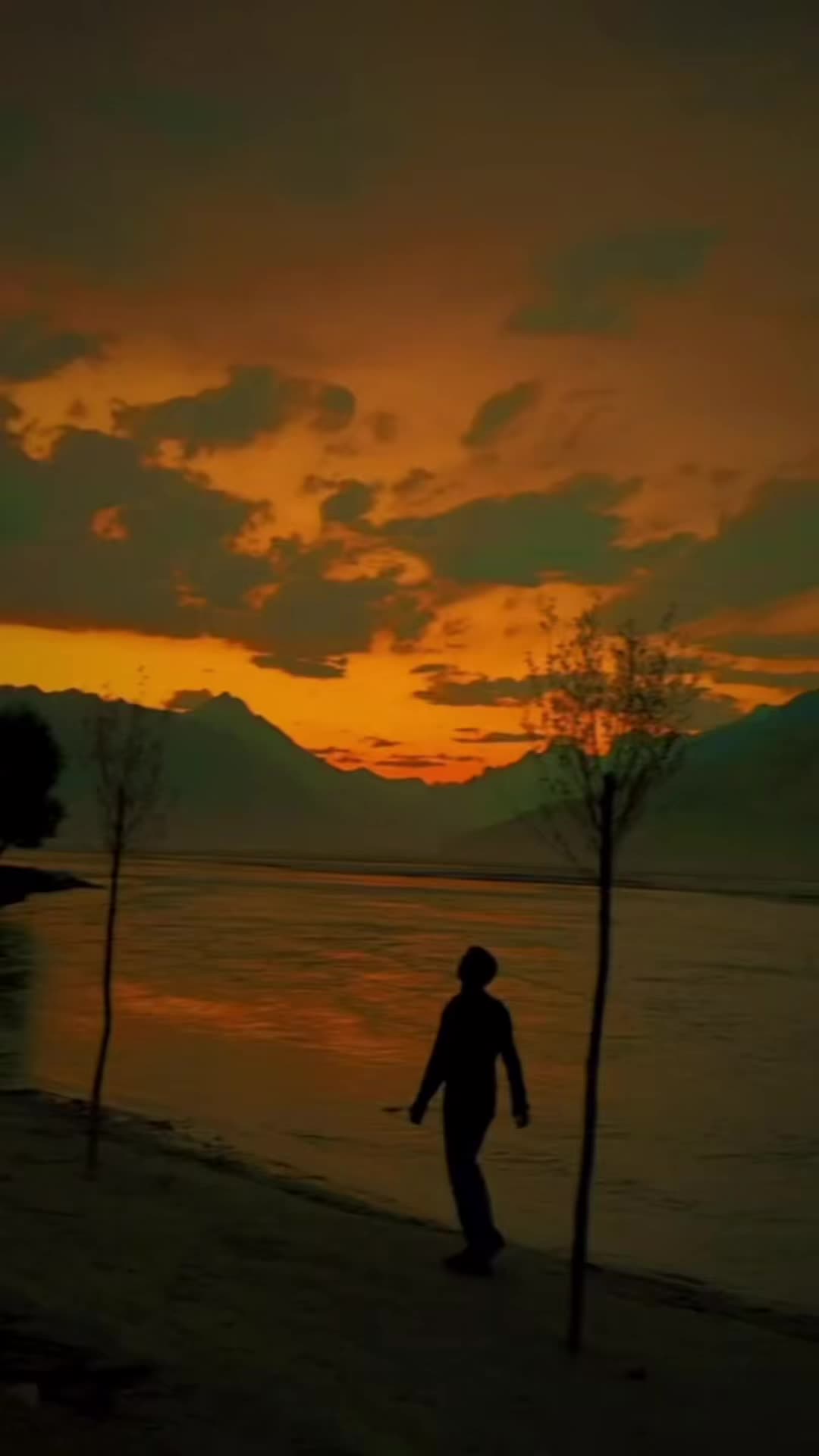 @Ayan Ali