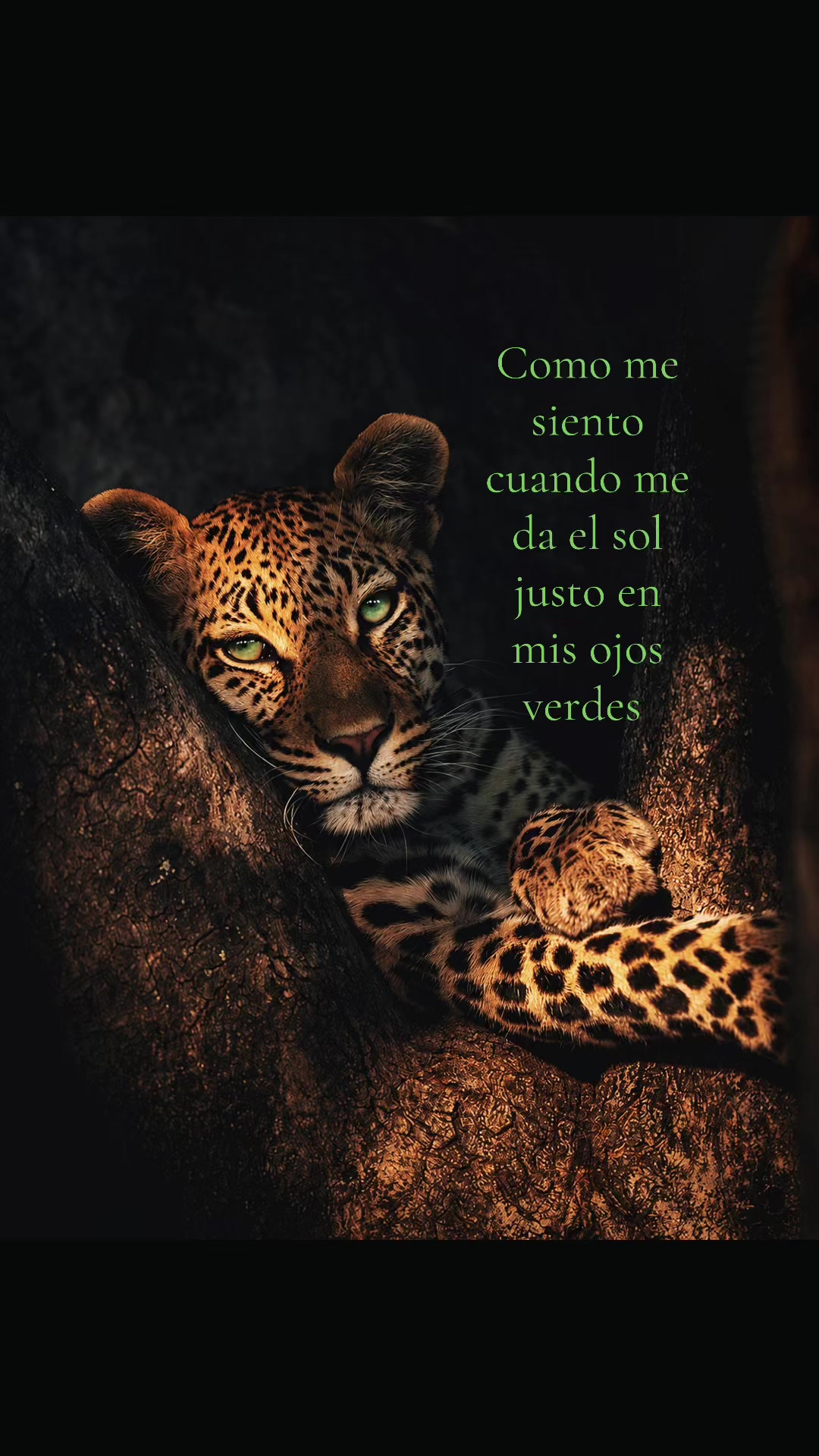 @𝓥𝓪𝓵𝓮𝓷 𝓽𝓮 𝓪𝓶𝓸😍💘