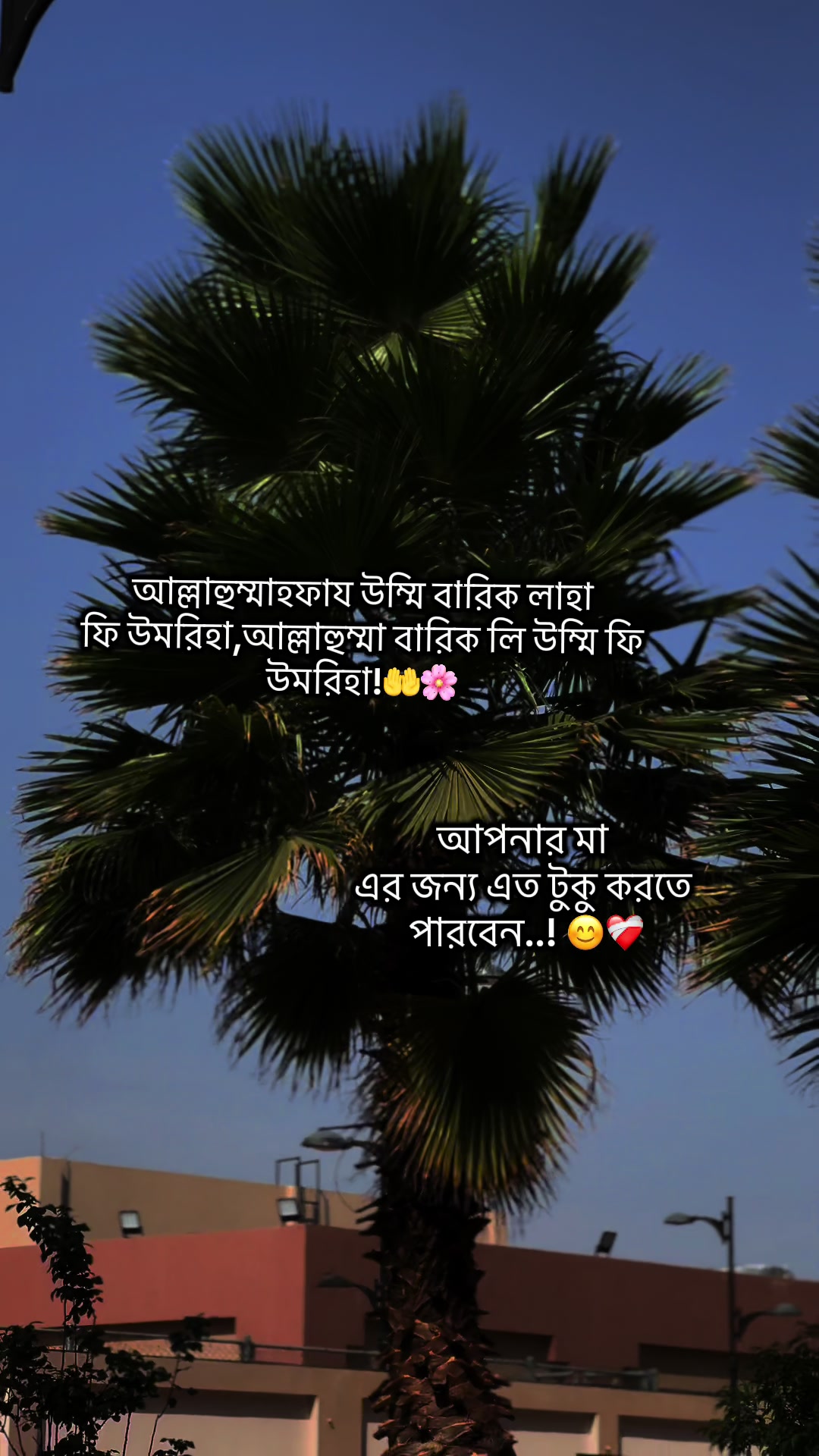 @đTanbir vaiđē