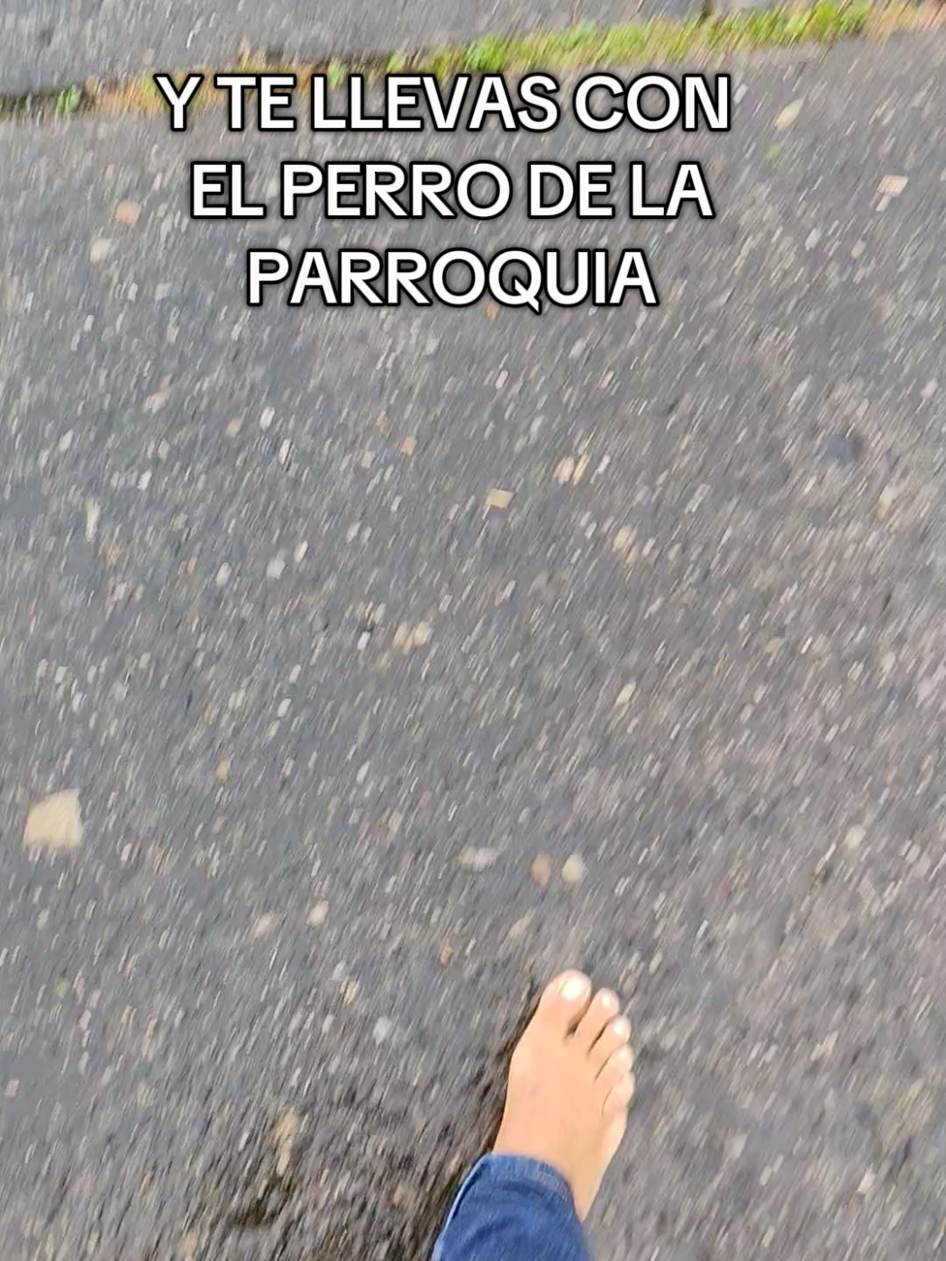 @Vania Navarro