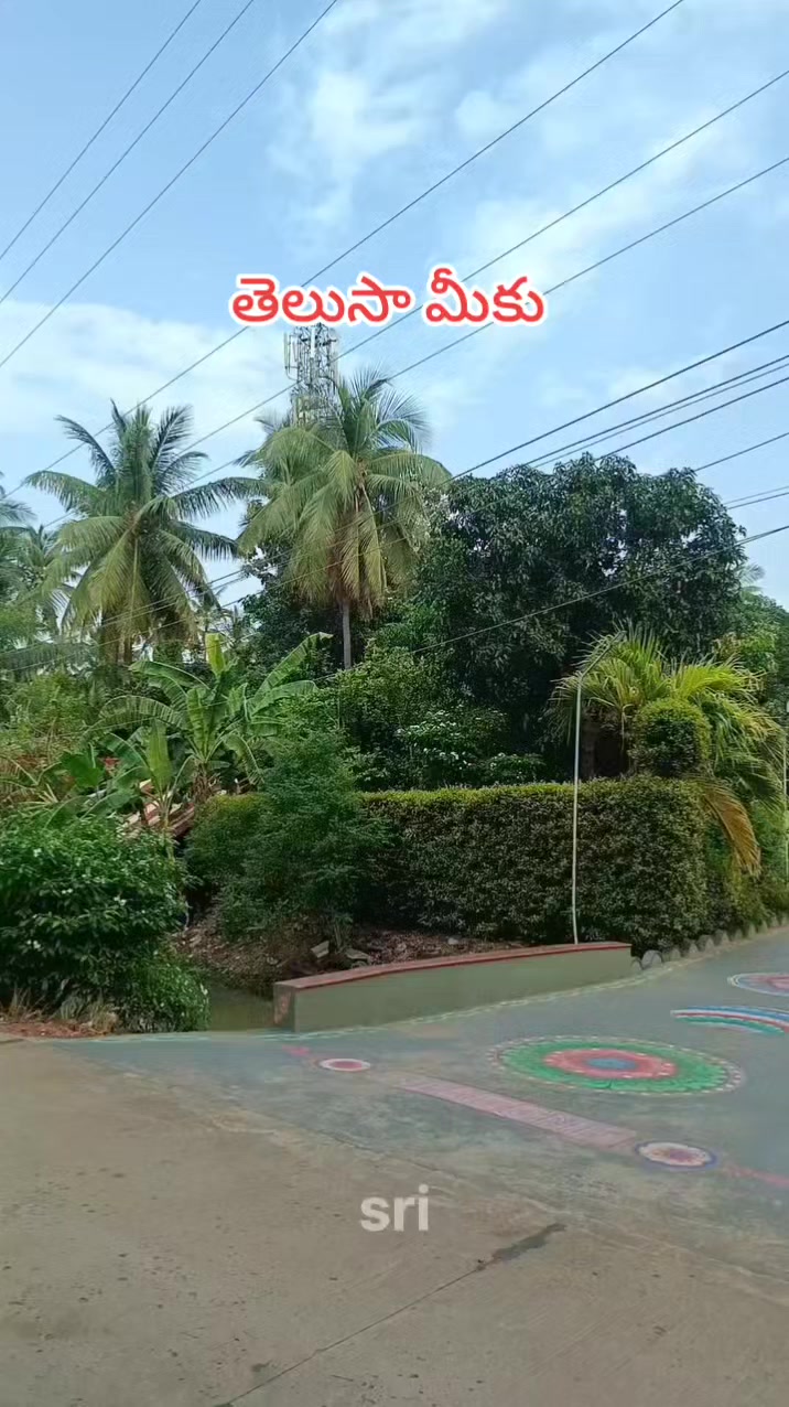 @🆁︎🅰︎🅼︎🆄︎బట్టెలంక కుర్రోడు