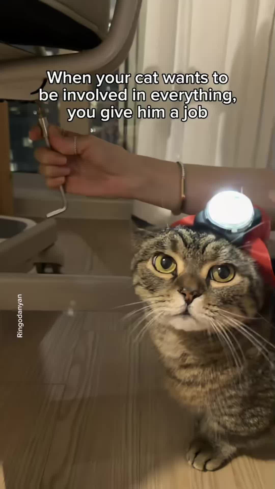@Lg