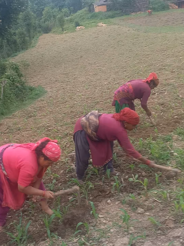 @❣️अर्काओ बुढी लभर