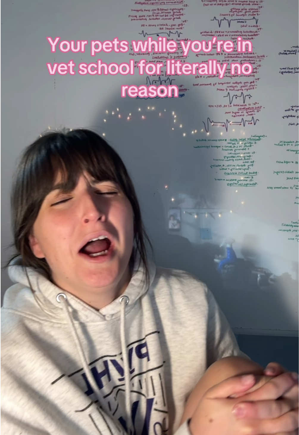 @futuredoctormegdvm