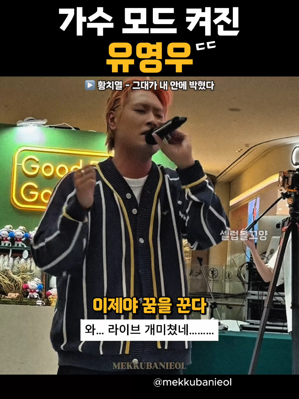 @셀럽볼꼬양