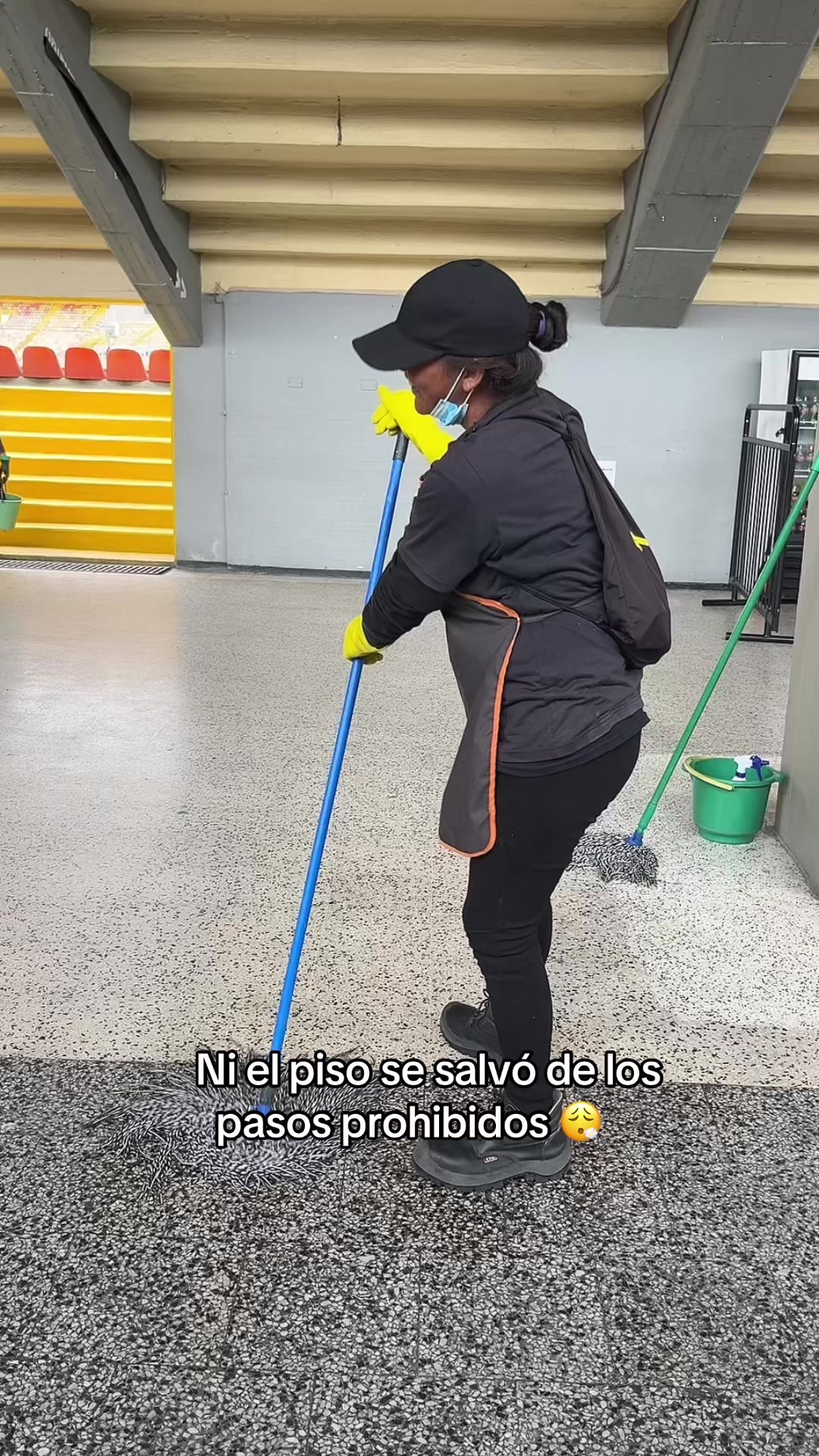 @Prisma mantenimiento