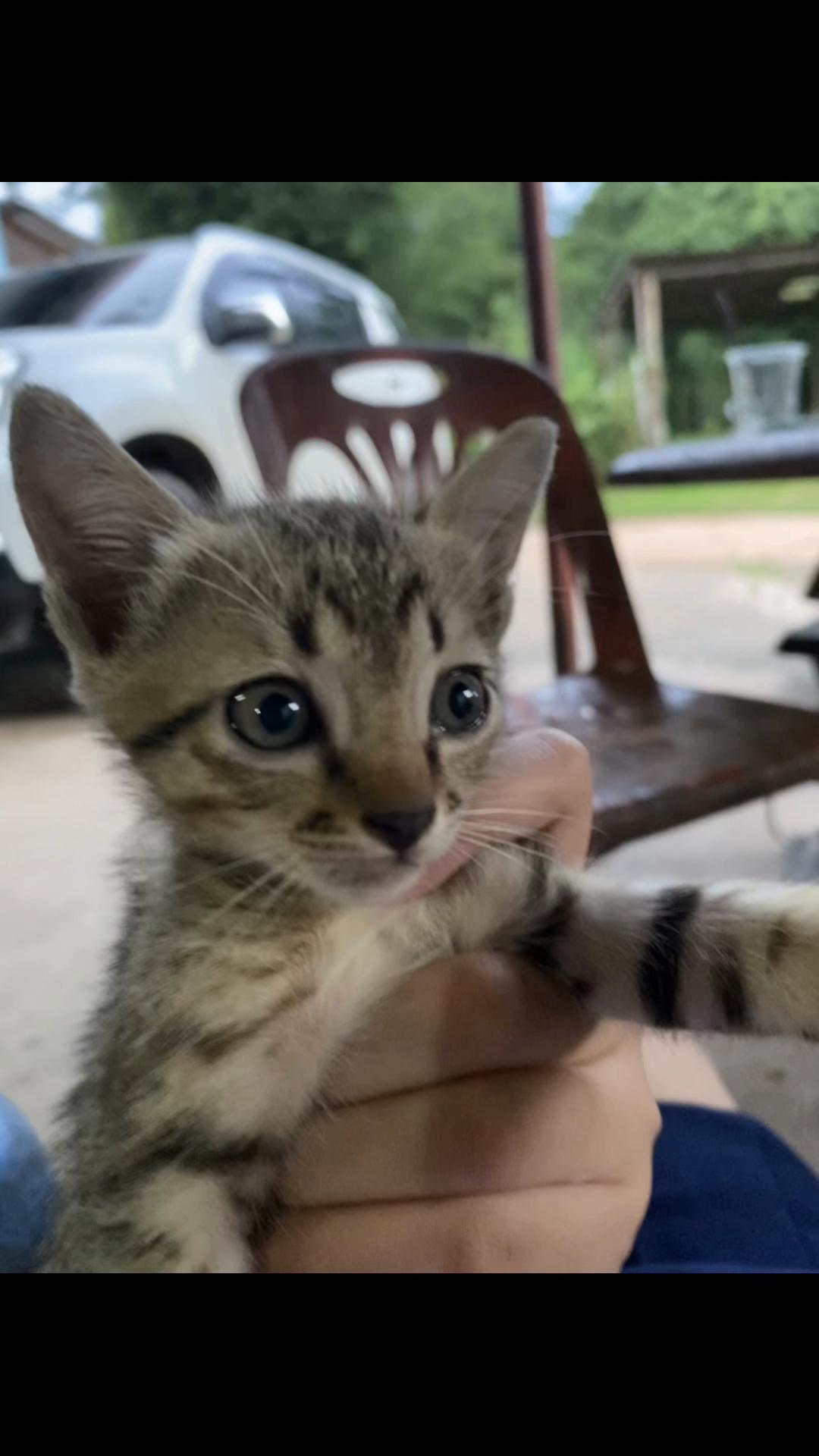 @โบ 67