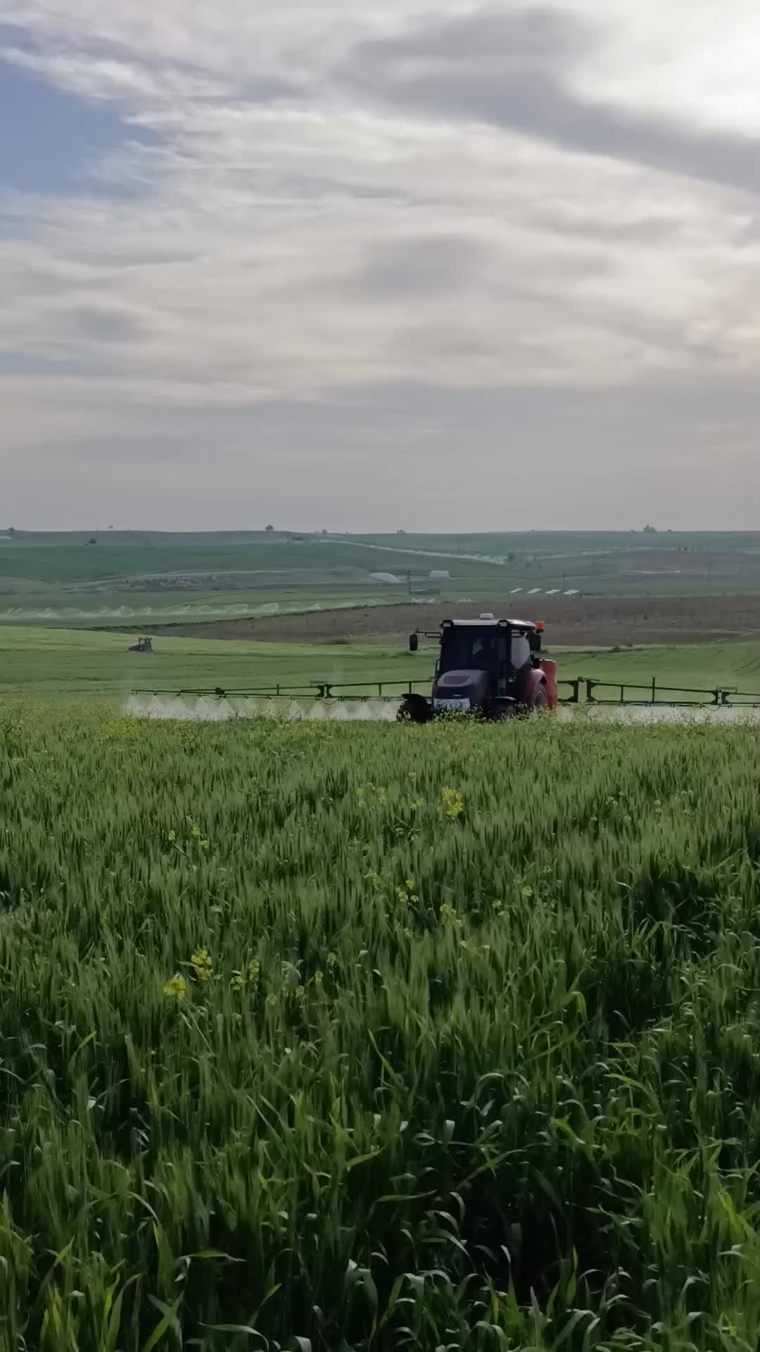 @MUSTAFA_ERGÜL47