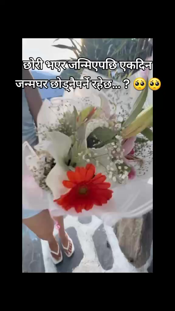@Sheema Thakuri
