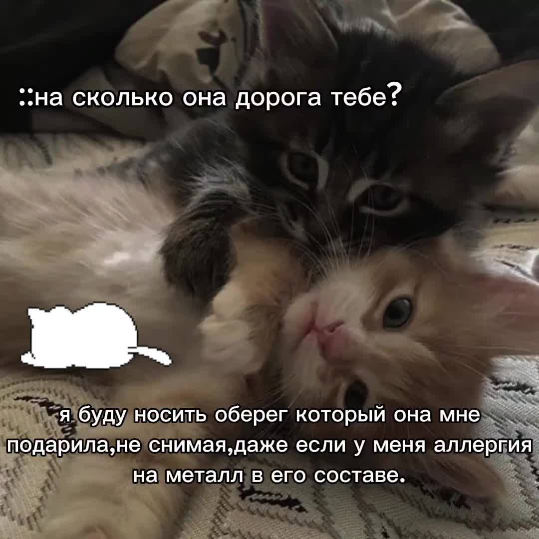 @Гав гав