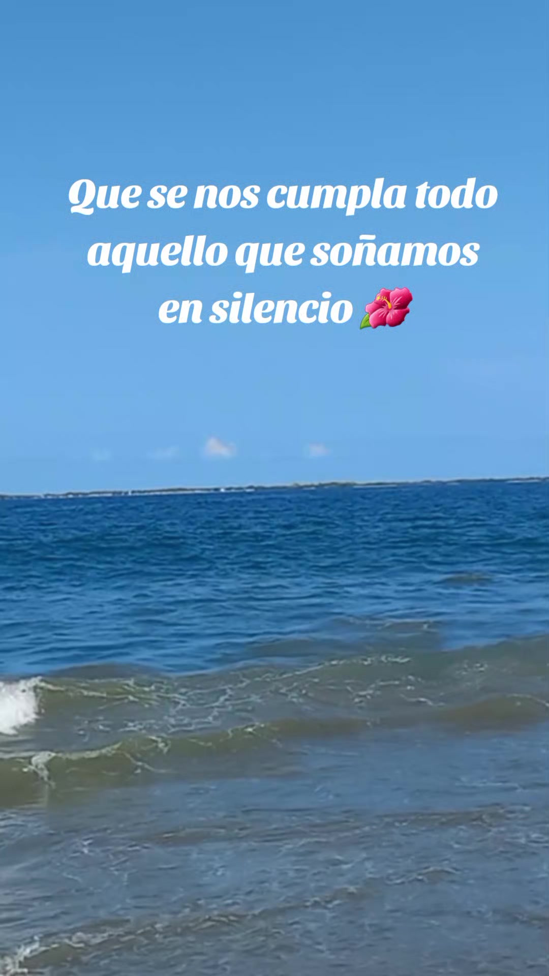 @Andreina Liendo 🌺