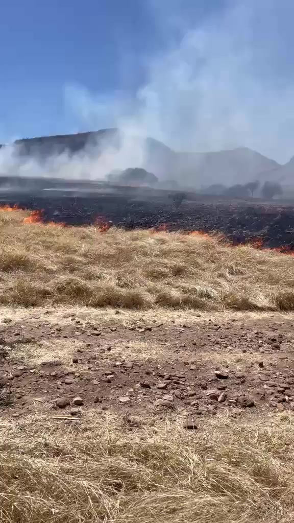 @renuevatv_zacatecas