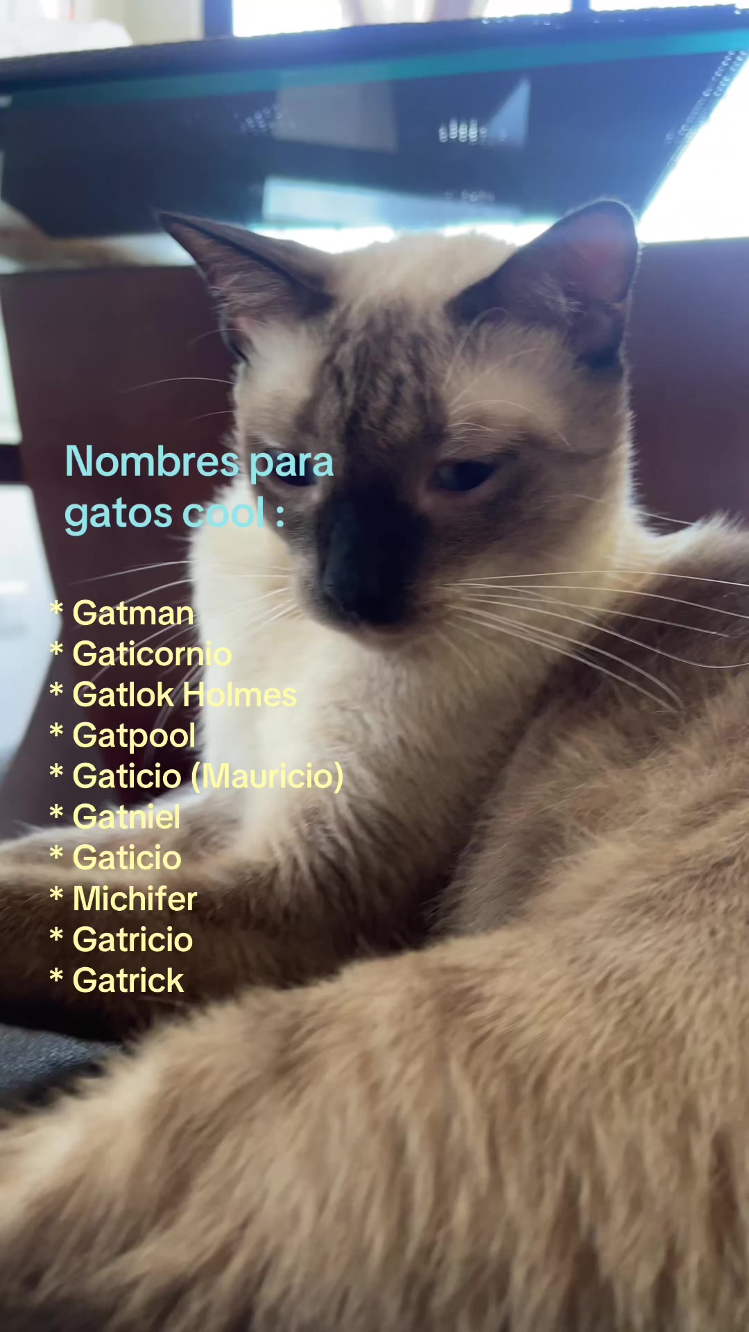 @Hermanitos siameses