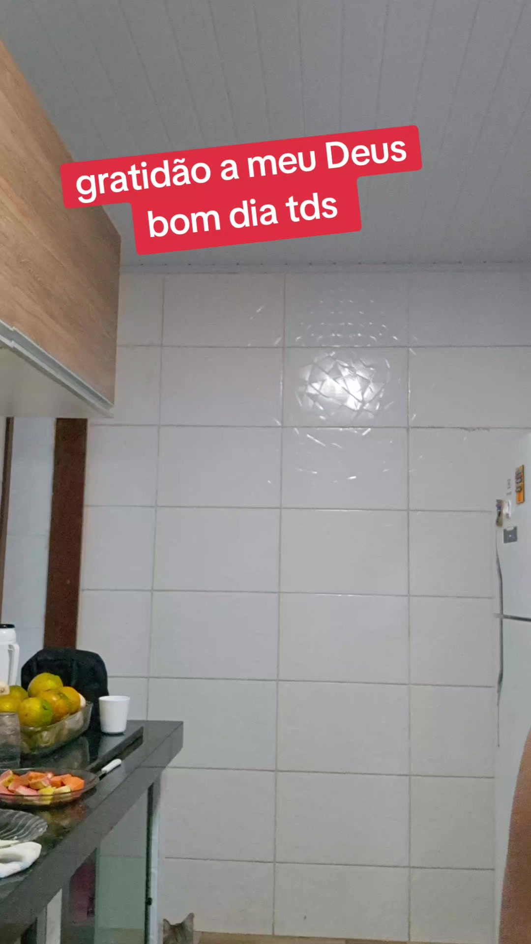 @Regina Souza