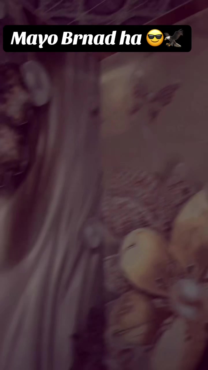 @zohaibmayo512