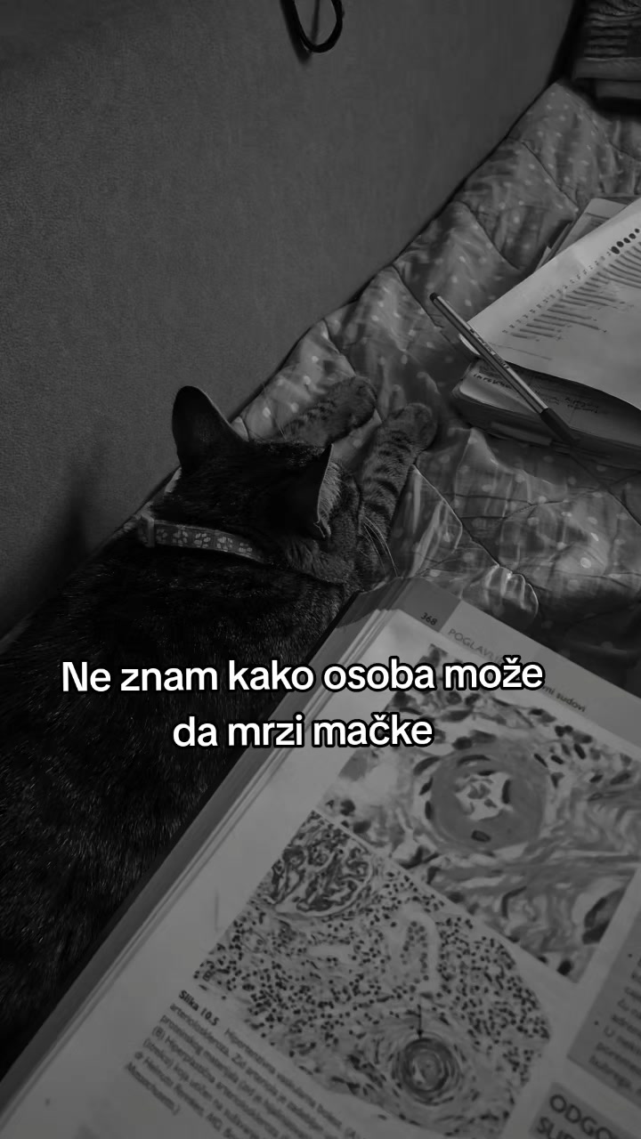 @Michii__