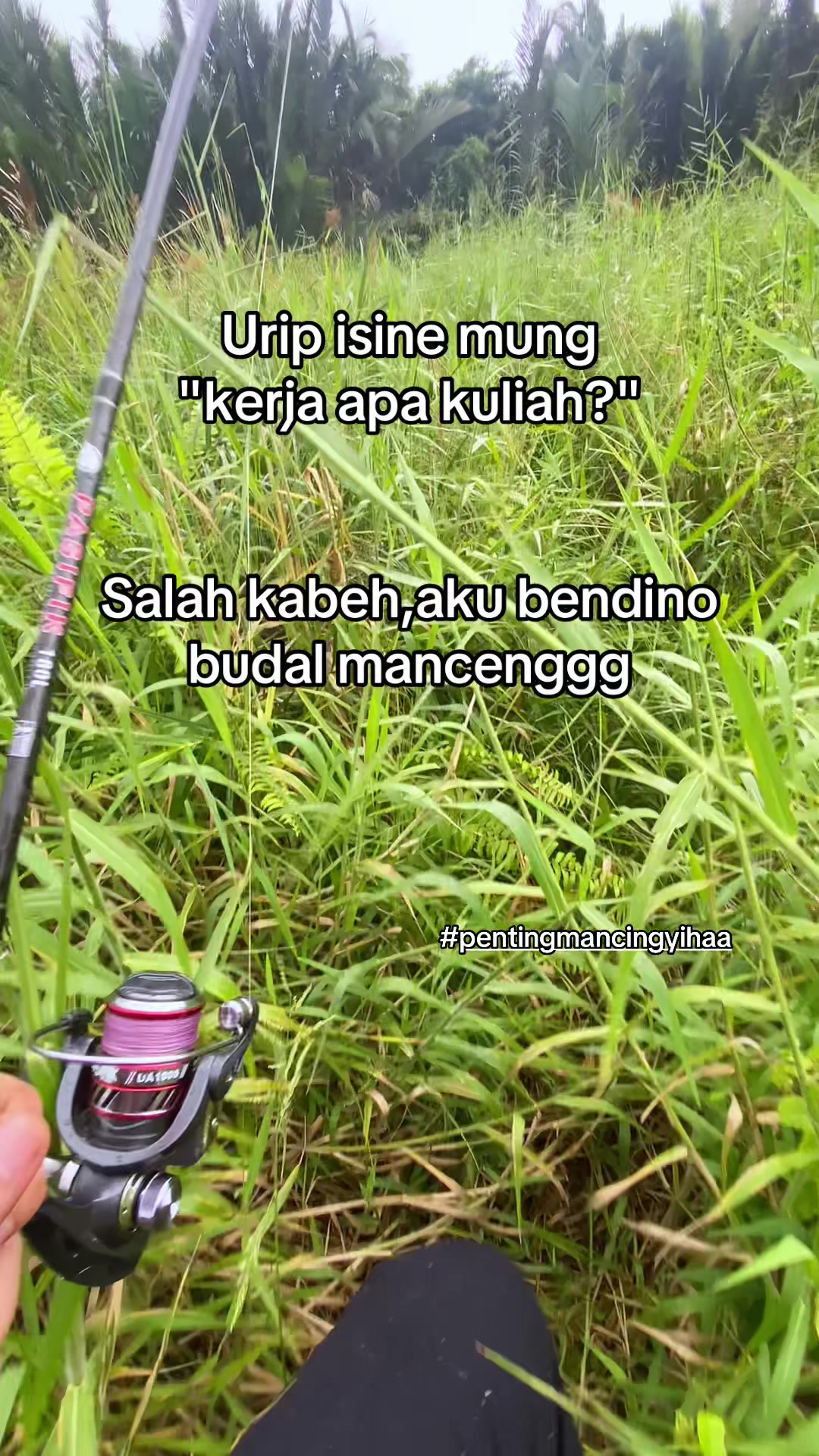 @Hi Linn