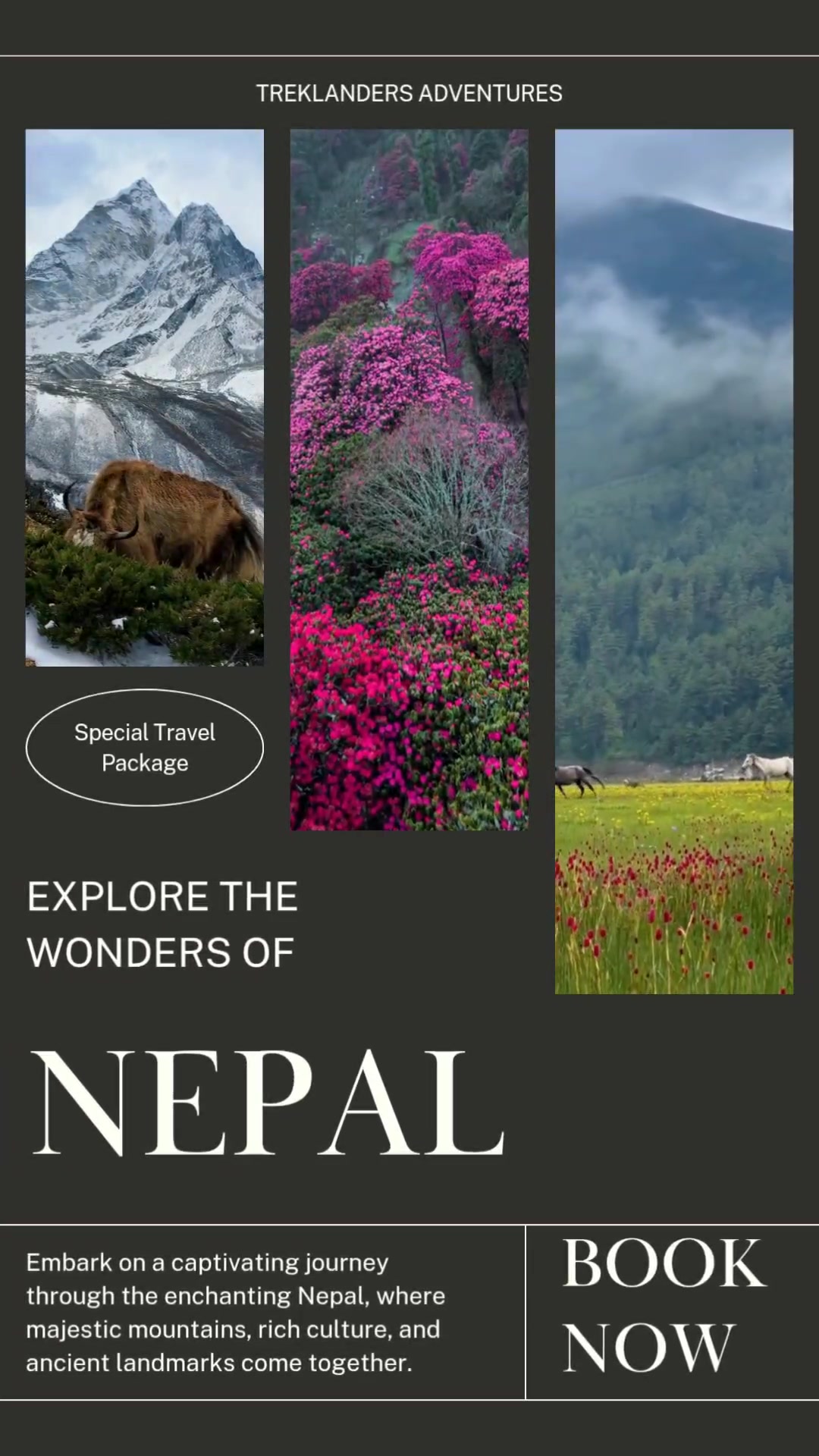@Treklanders&ensp;Adventures