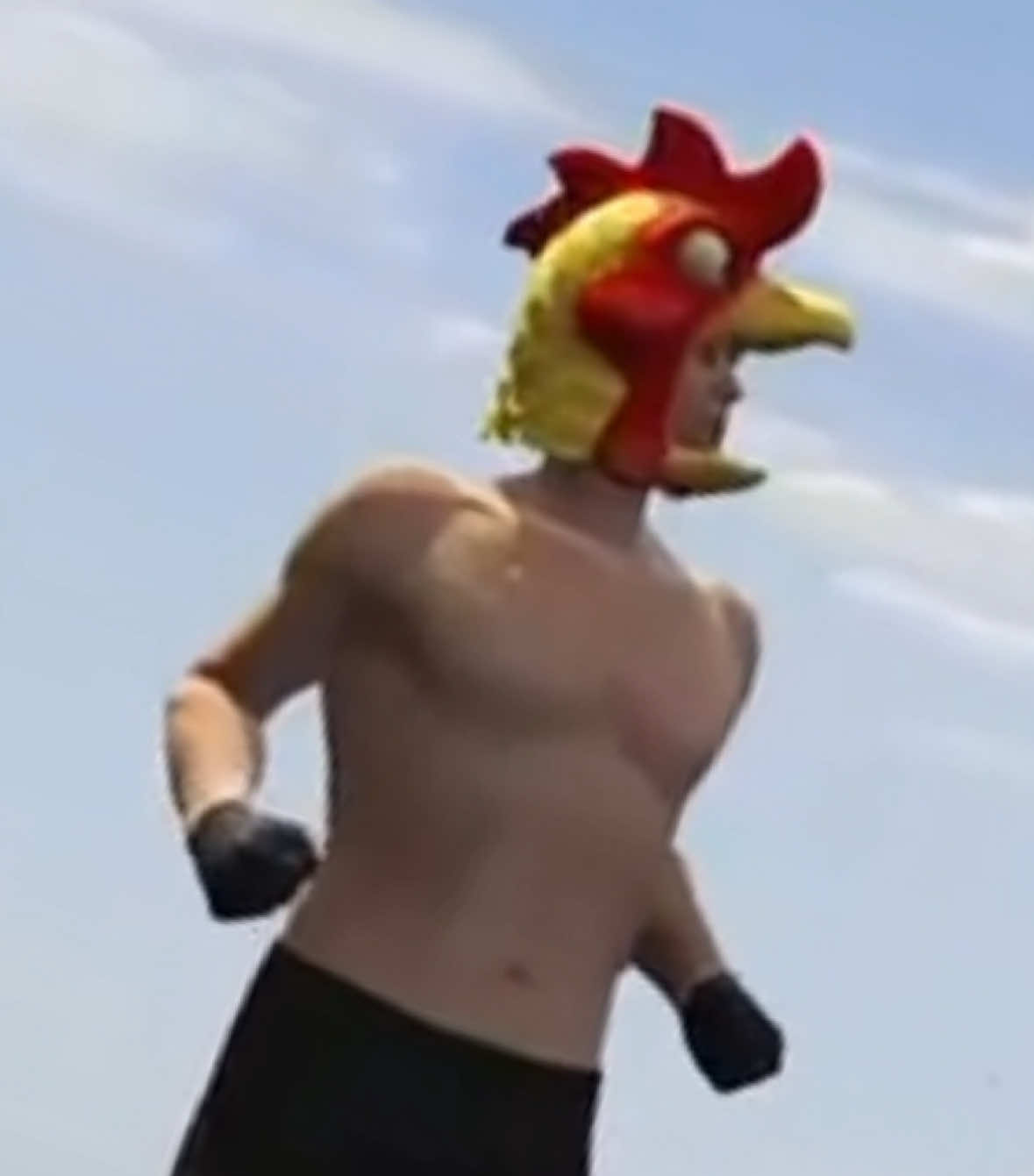 @atom_chicken