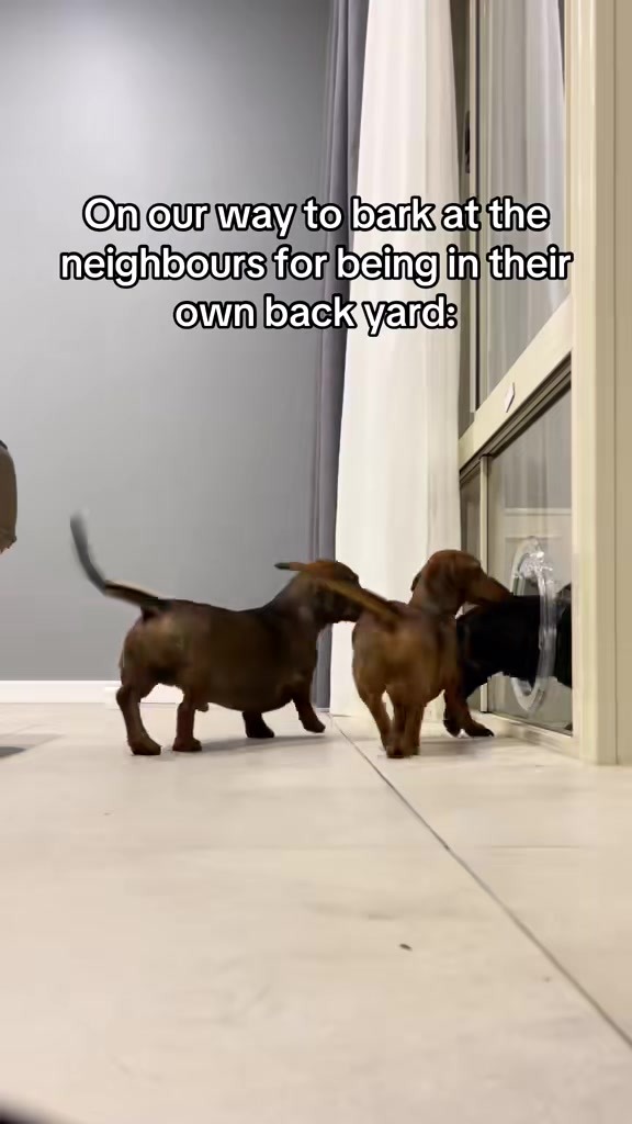 @Von & Her Hounds