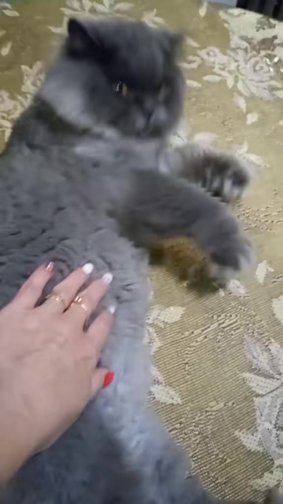 @Олеся