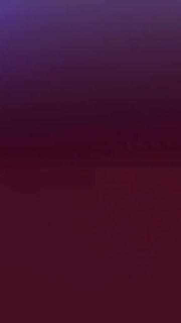 @bee.boo