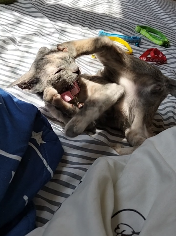 @Gems Thanakatj2491