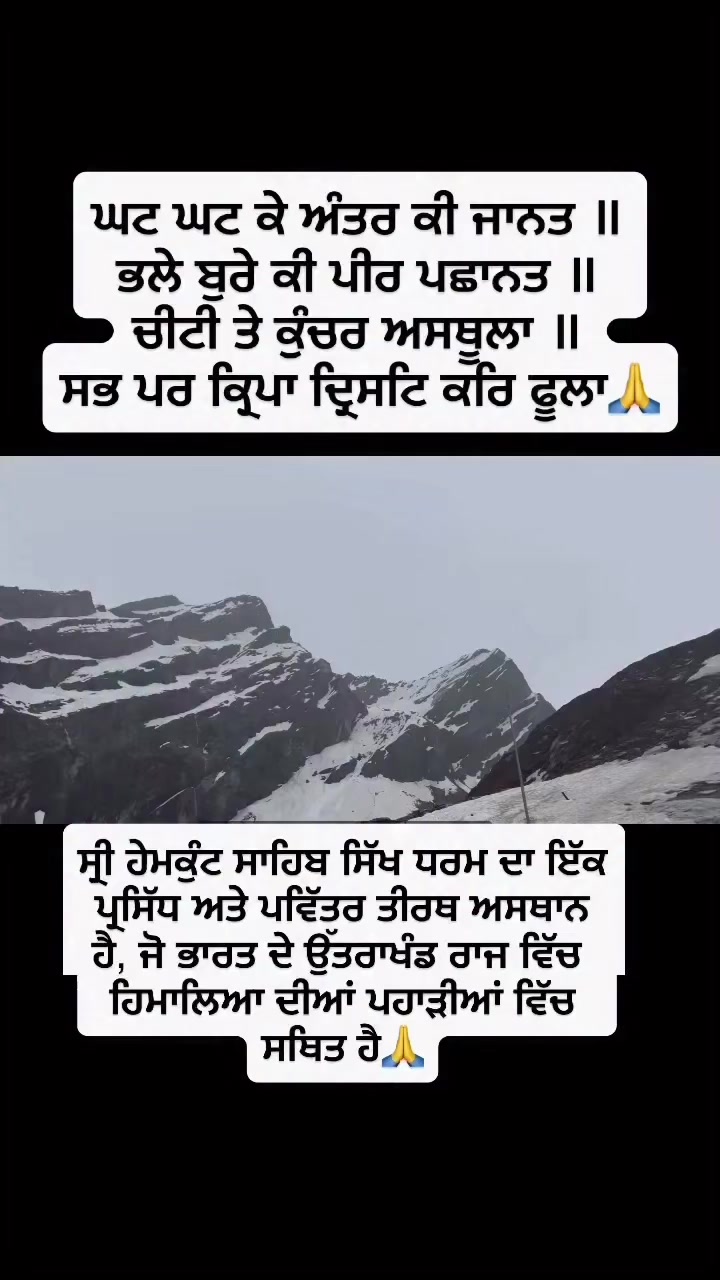 @Rani Dhillon