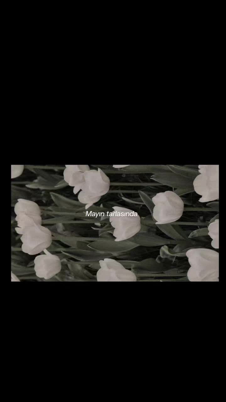 @🥀🪽