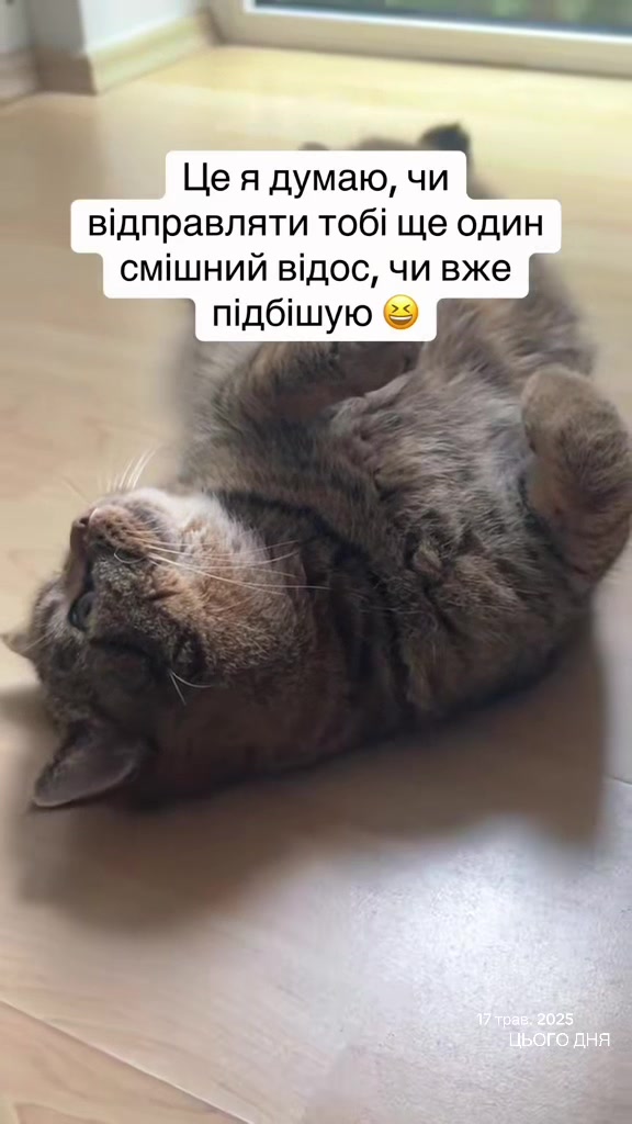 @Джоні 😻