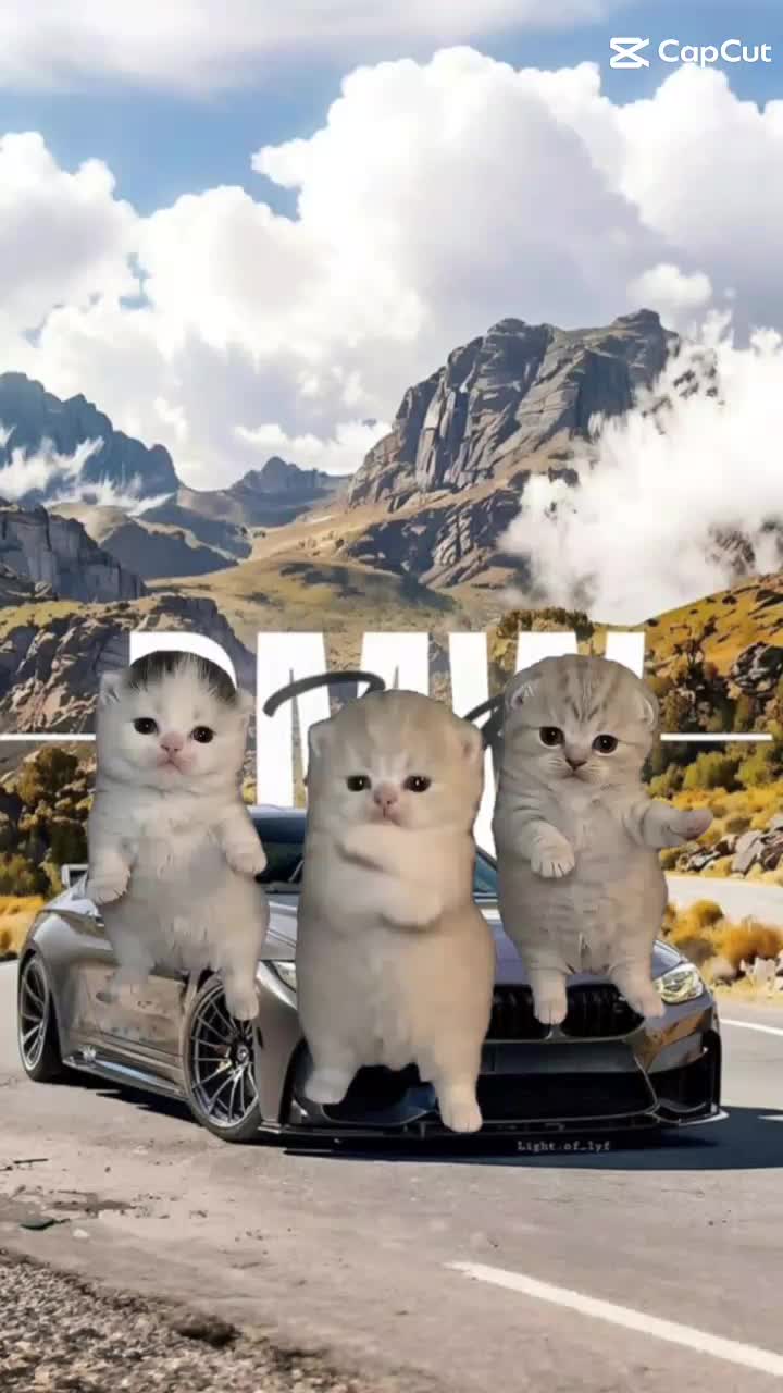 @Мустафа