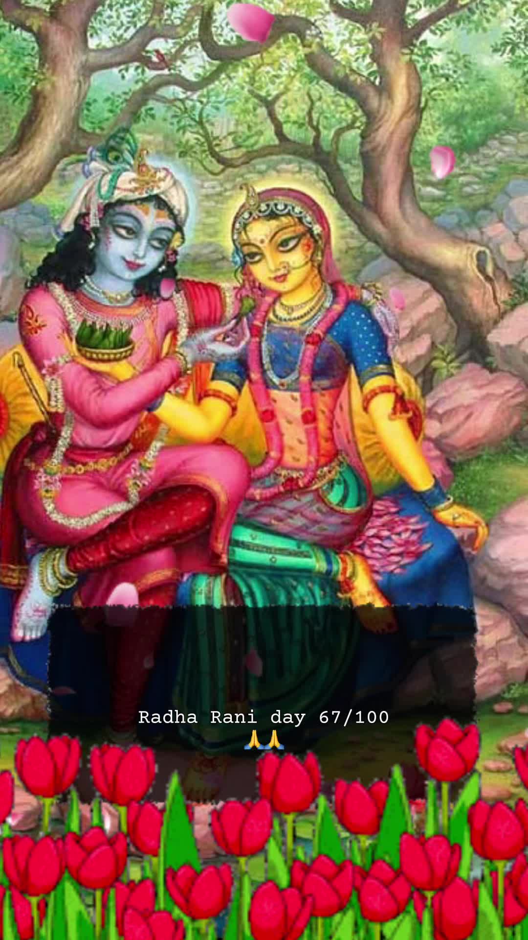 @RadheKrishna🦚🦚🙏🙏