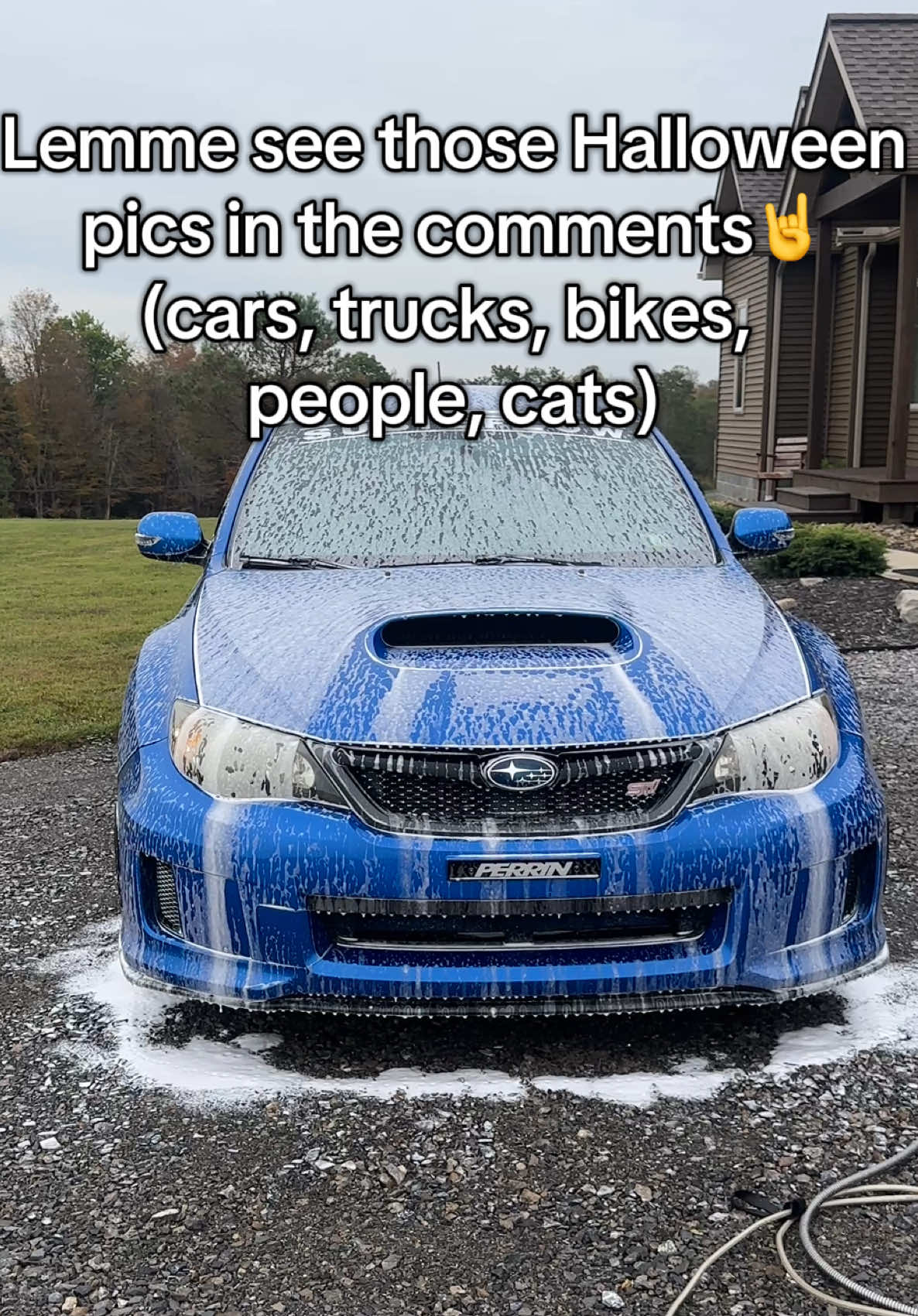 @not_talynluzier
