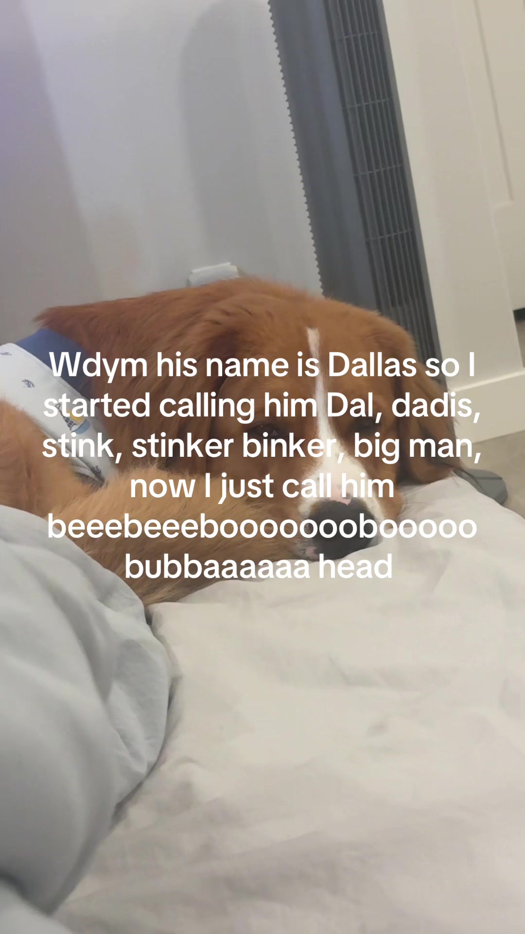 @Jenna-Lynn