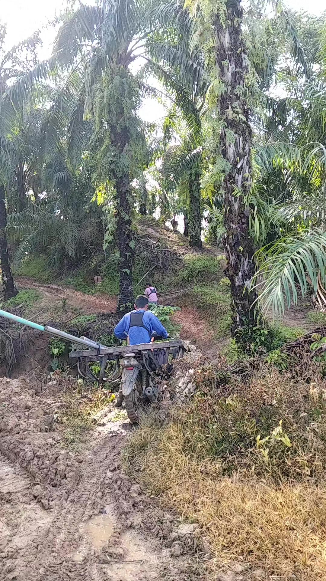 @kekasih bayangan