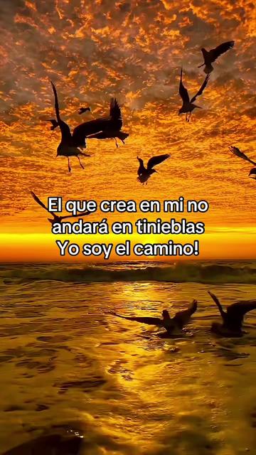 @Dee Enloe oficial