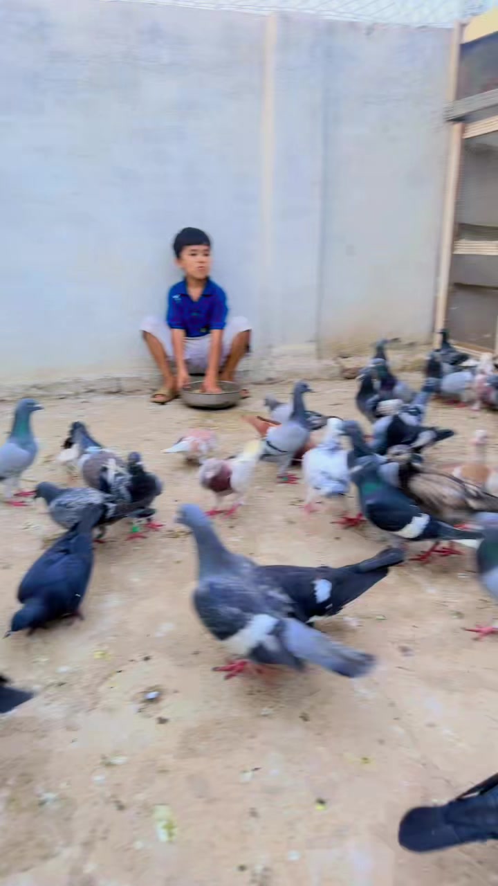 @MalikAtif
