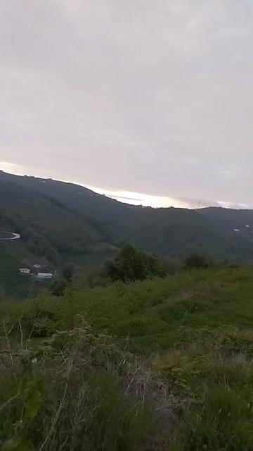 @yaşlı kurt