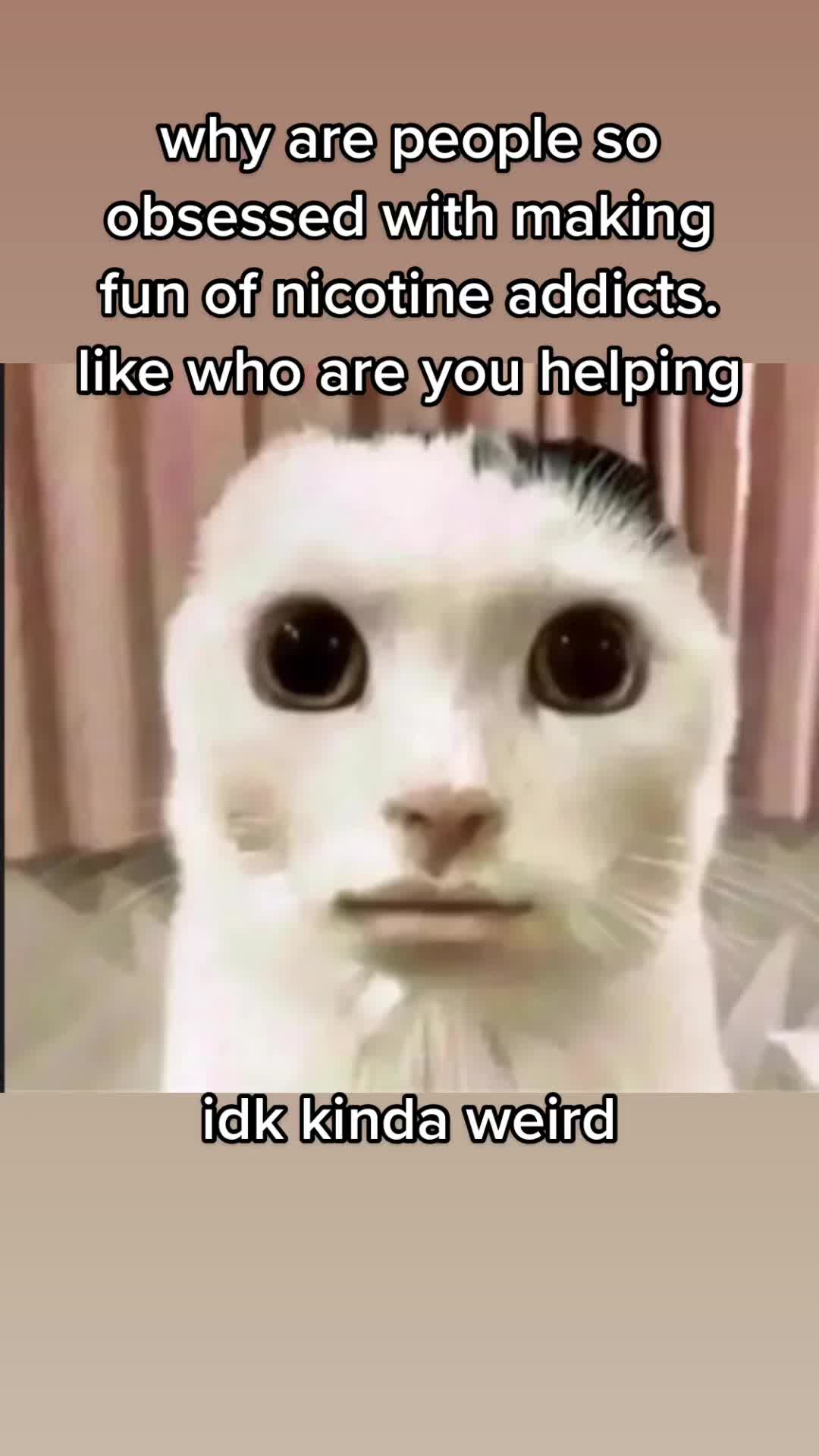 @Really Awesome And Cool Person