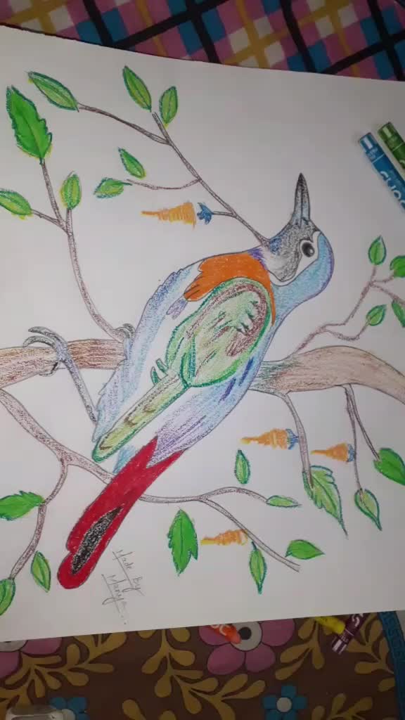@Manya Dixit