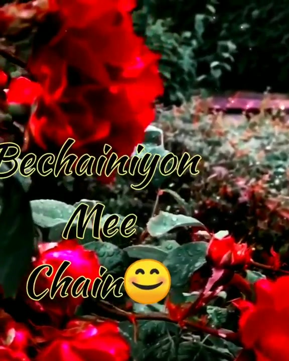 @Ritu Maurya