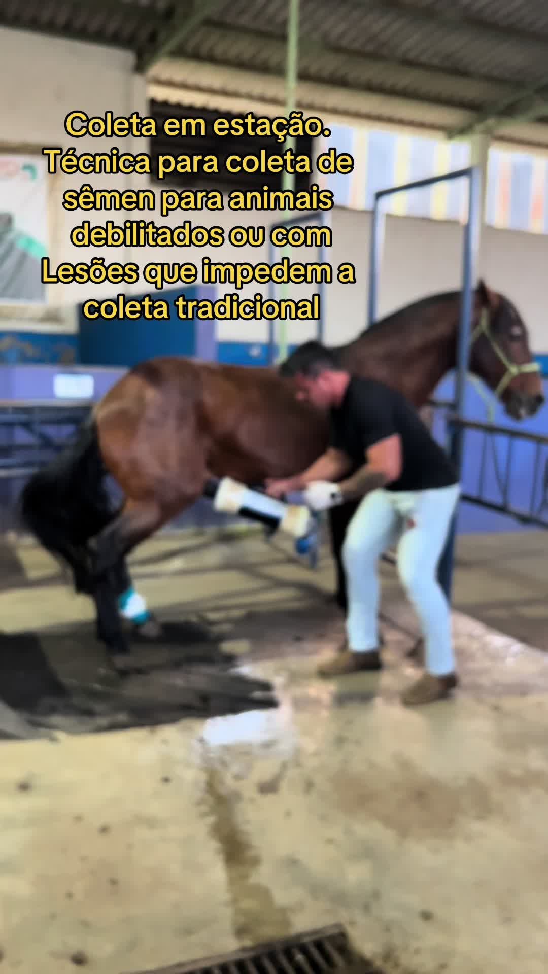 @HENRIQUE FAVARETTO