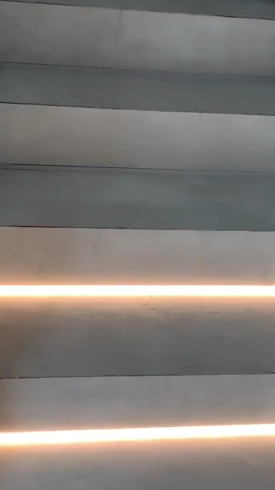 @TZlight