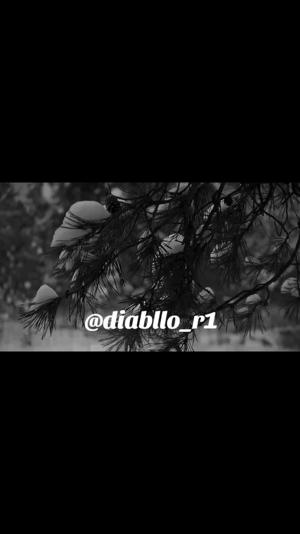 @Diablo_r1