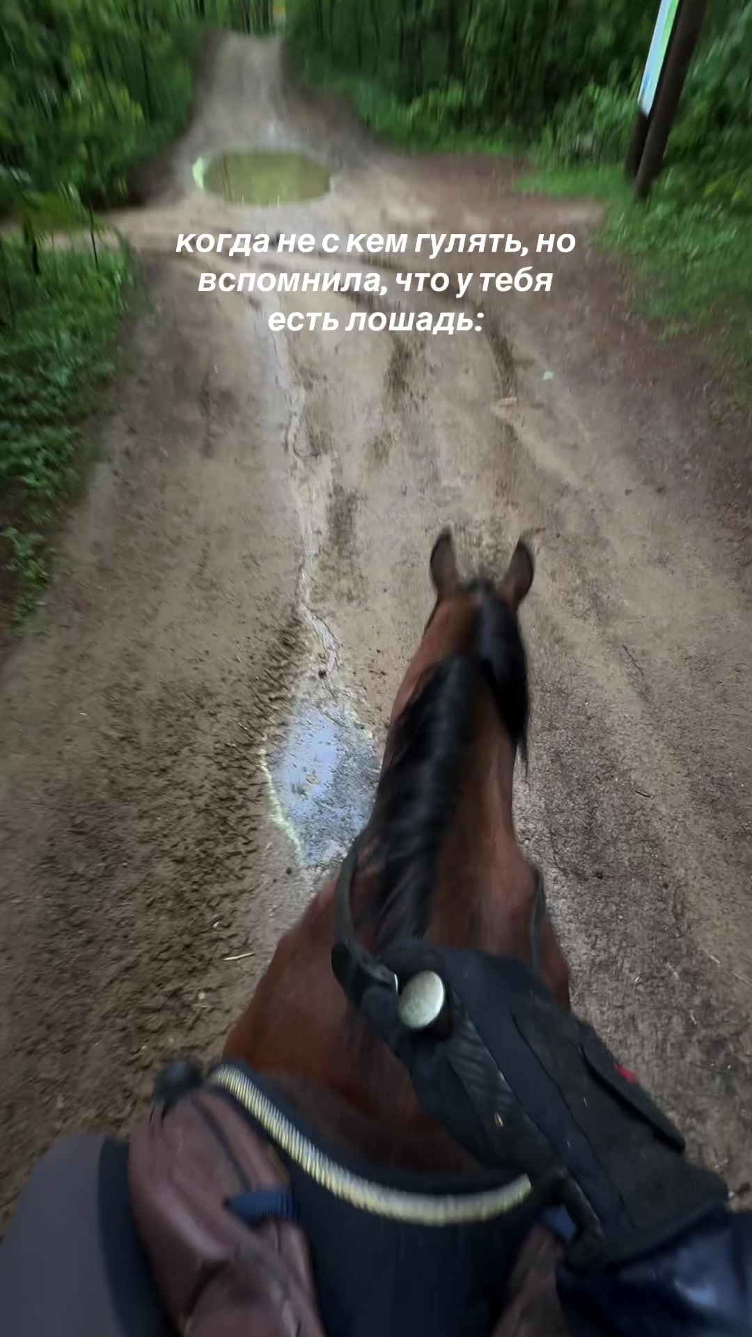 @Аня и Ладный