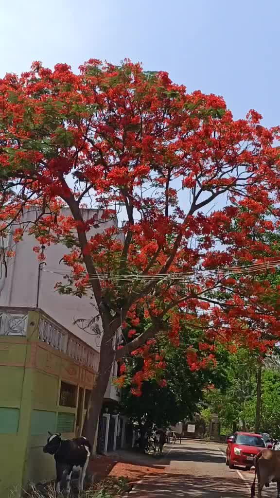 @மேகன்தமிழ்