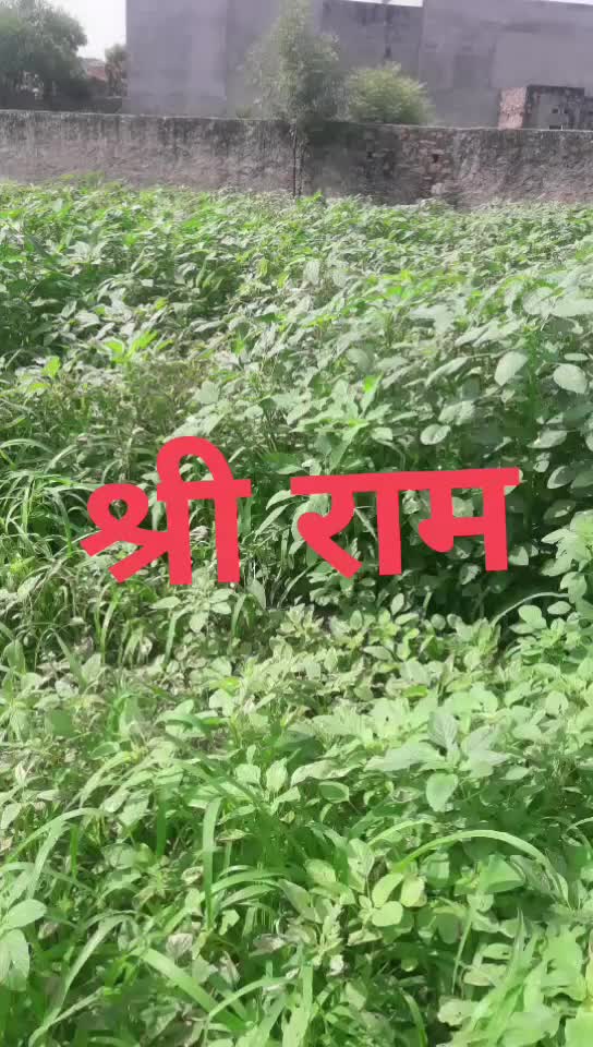 @Shrirsm 786