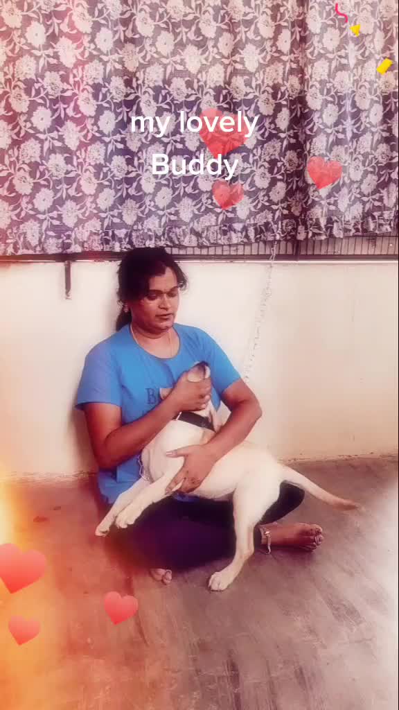 @Banumathi Kalupukuri